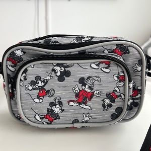 Disney World Parks nylon bag.
